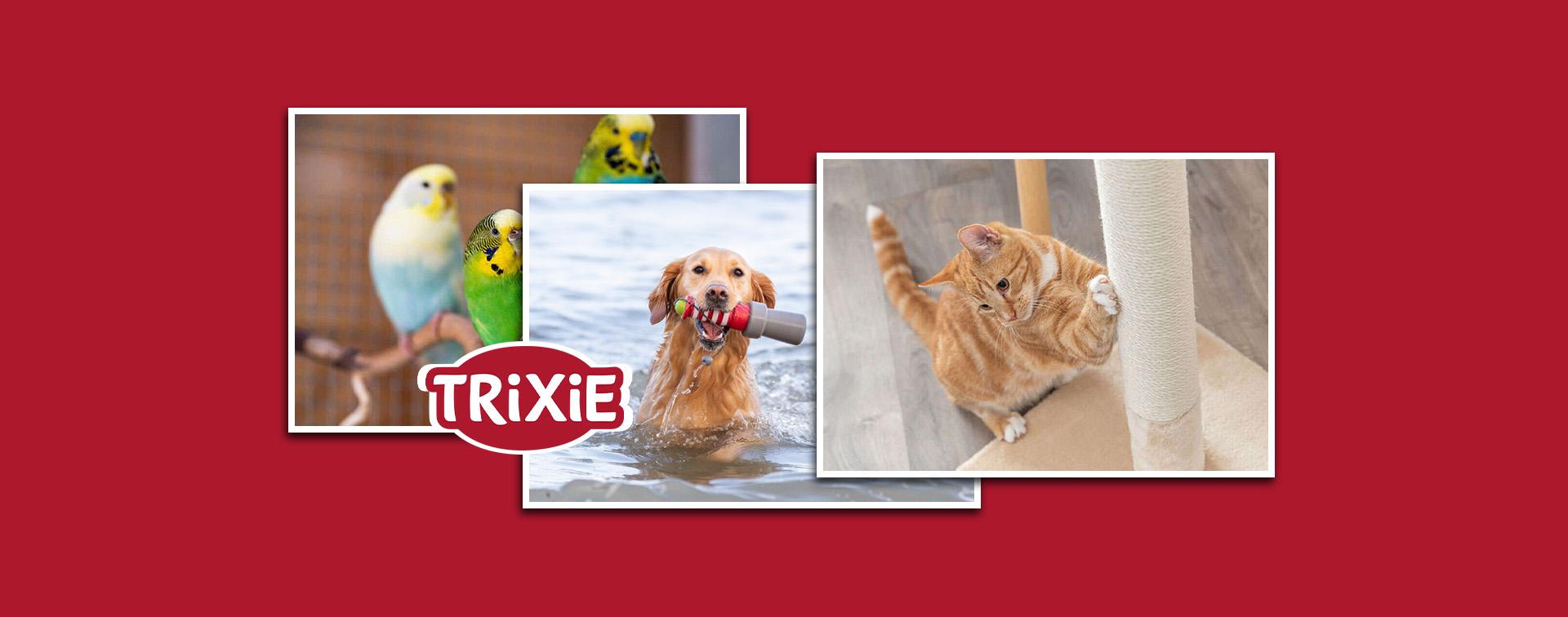 trixie