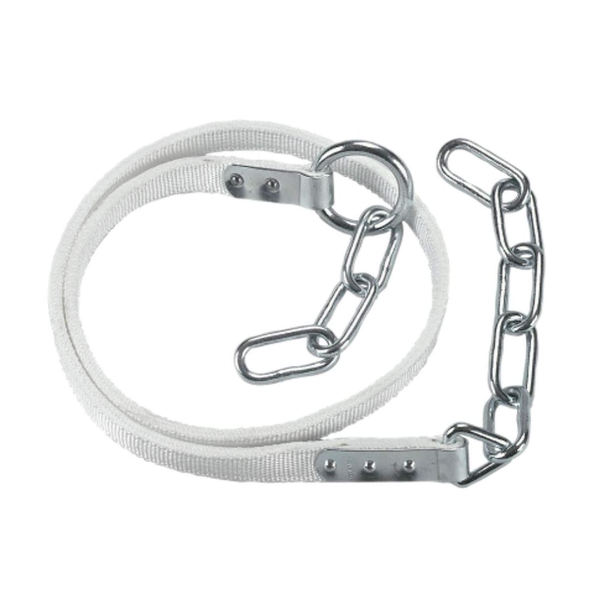 product/1/2/1255.jpg