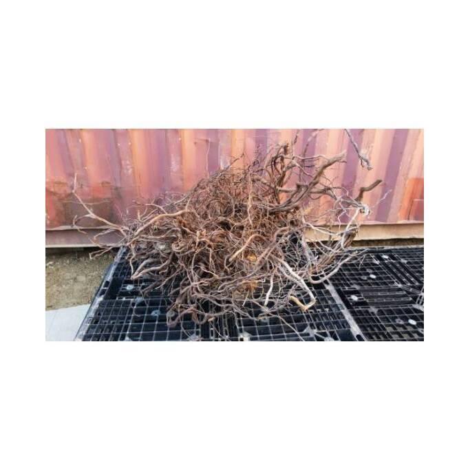 product/a/q/aquavie_ant111525v1_beige_2.jpg