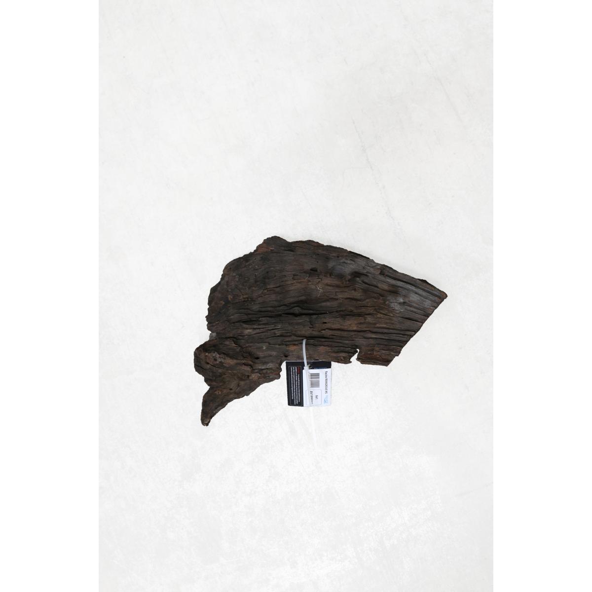 product/a/q/aquavie_av1rm002_marron_1.jpg