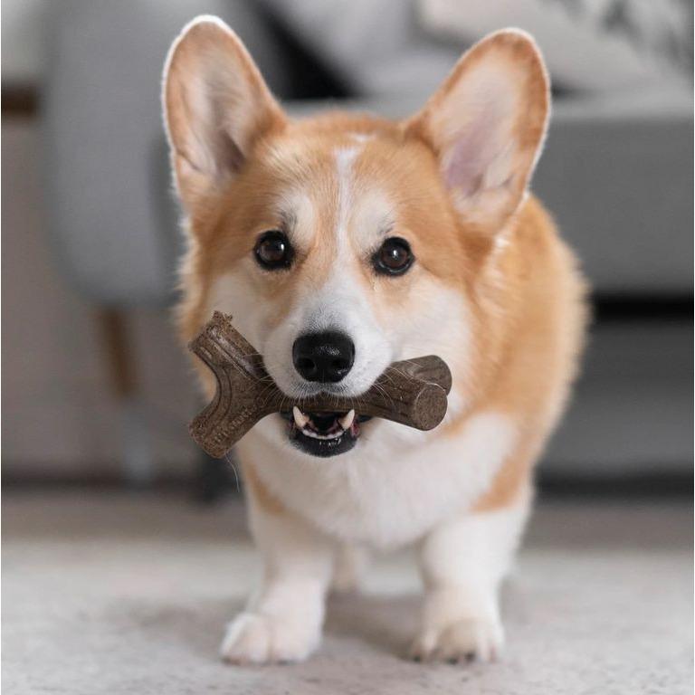 product/b/e/benebone_cy0383_4.jpg