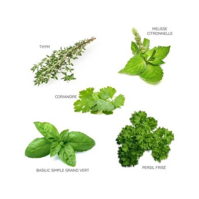 product/b/i/bioponis_bio30164g_vert_2.jpg