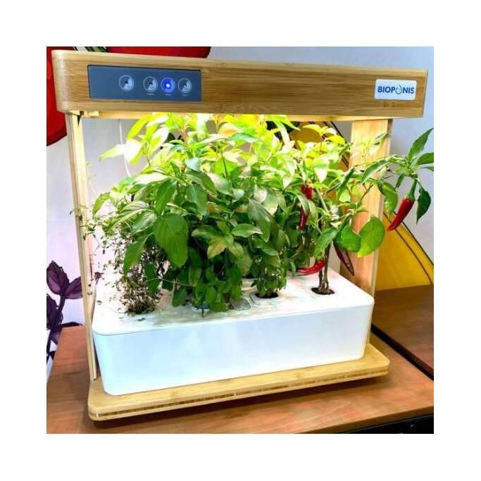 product/b/i/bioponis_bio34003_bamboo_3.jpg