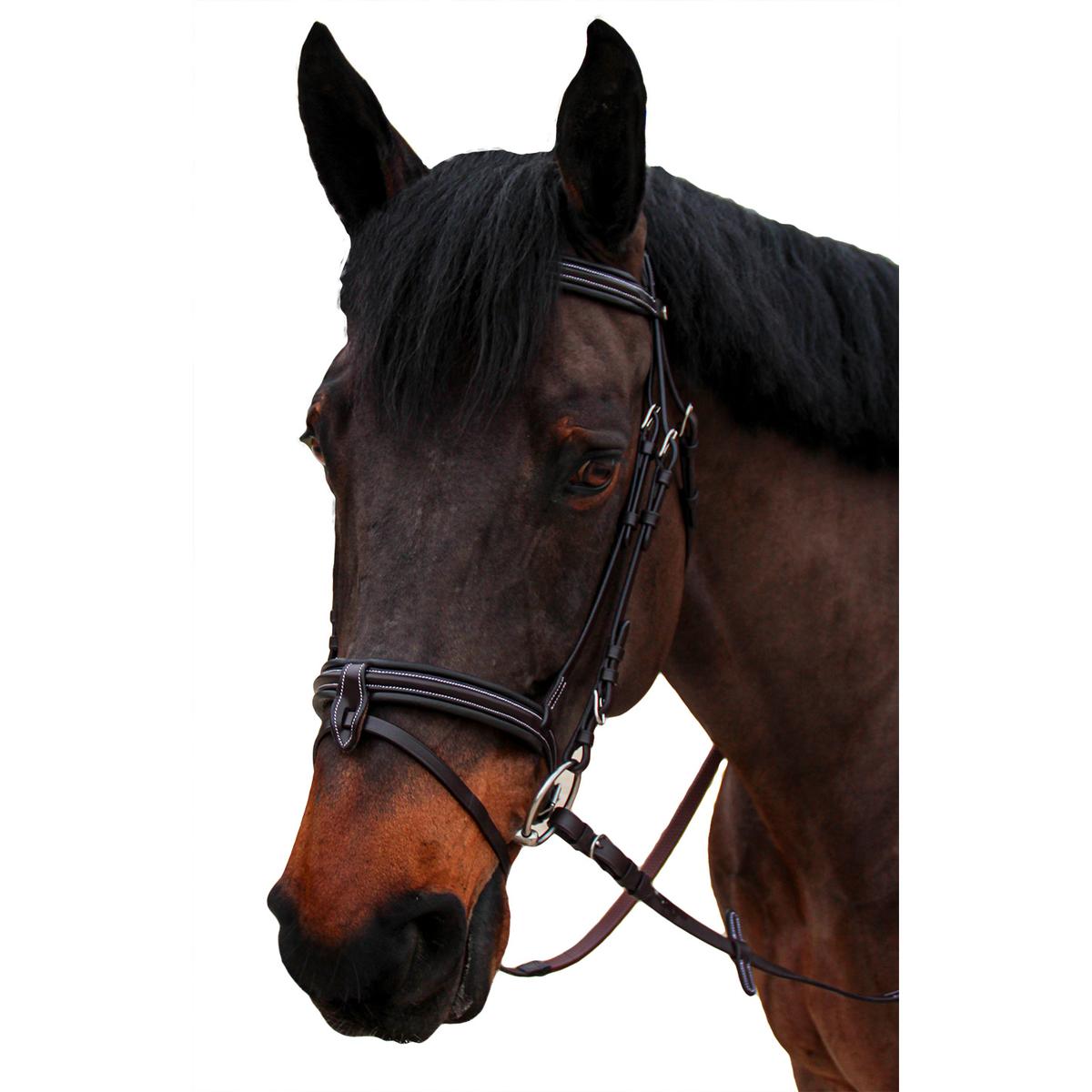product/c/a/canter_111112-marron_marron_1.jpg