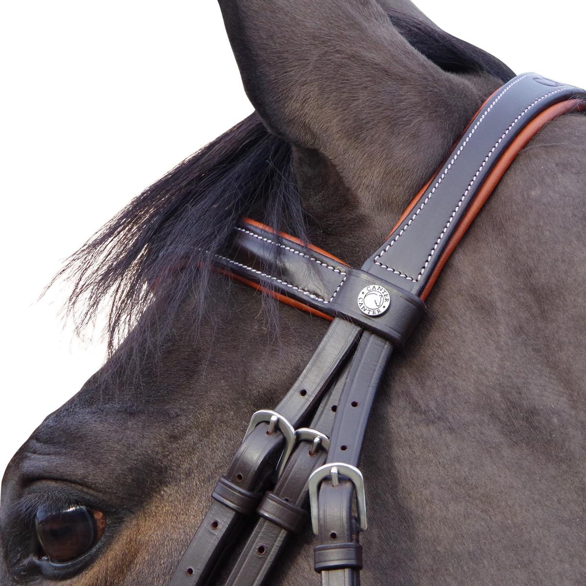 product/c/a/canter_111130-marron_2.jpg