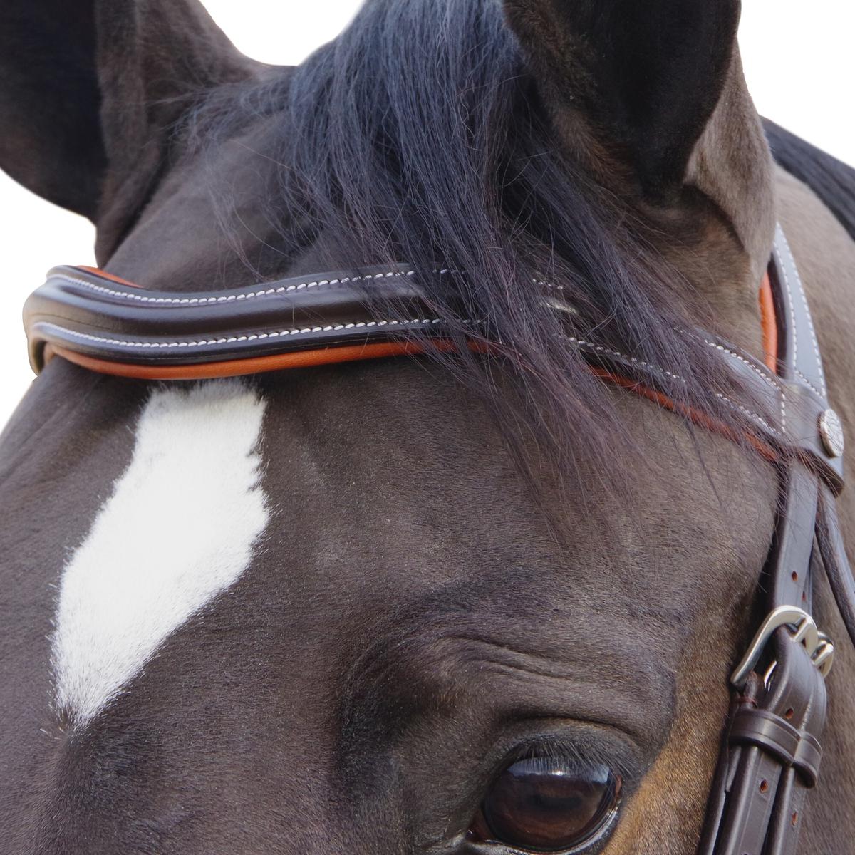 product/c/a/canter_111130-marron_4.jpg
