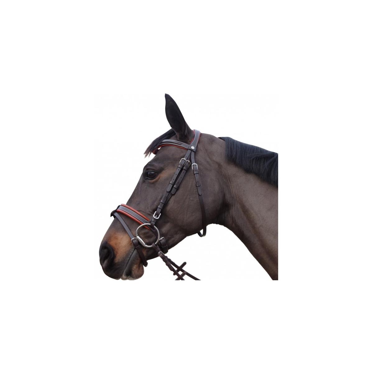 product/c/a/canter_111130-noir_mag4568639_1.jpg