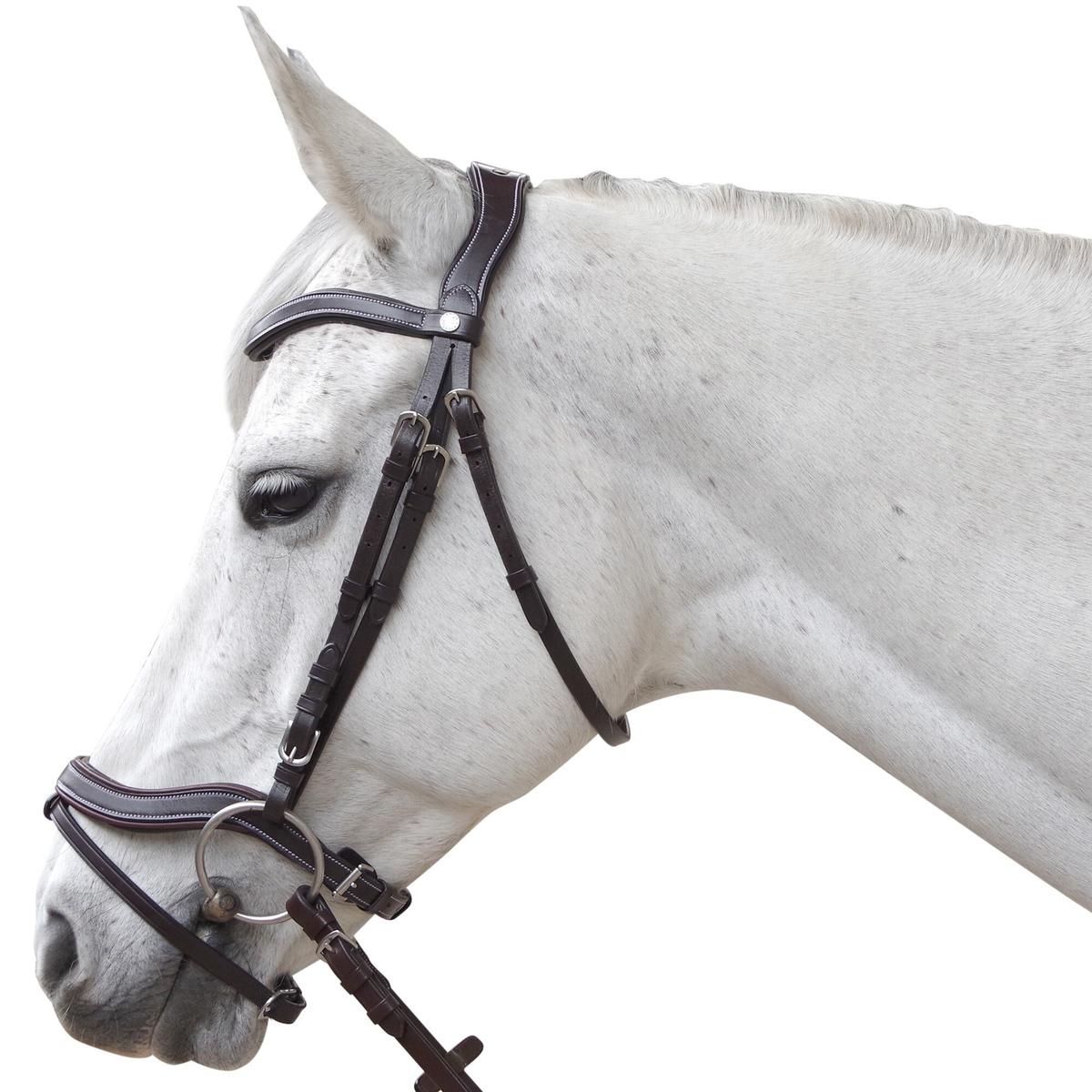 product/c/a/canter_111131-marron_marron_1.jpg