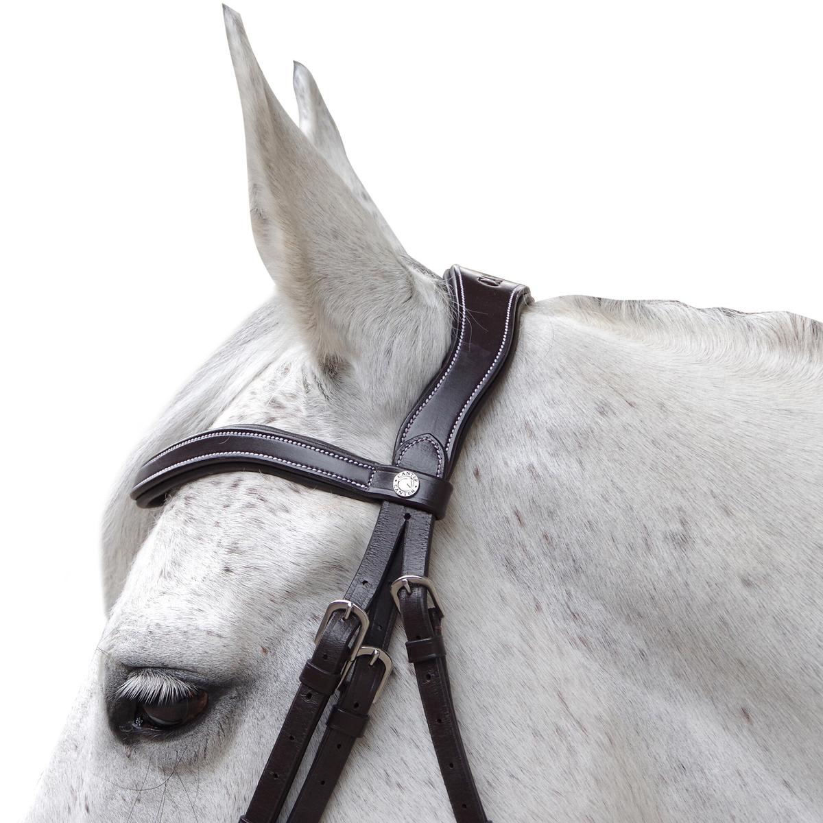 product/c/a/canter_111131-marron_marron_2.jpg