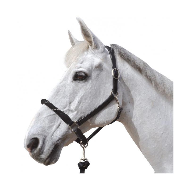 product/c/a/canter_119520-noir-argent_noir-argent_1.jpg