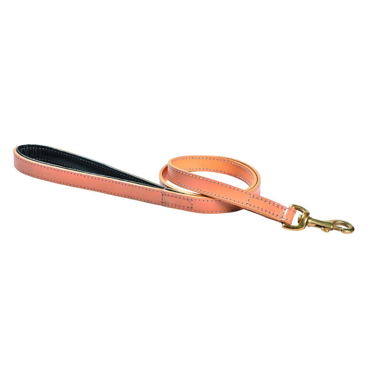 product/c/r/croci-canifrance_lsclass_11_060.jpg