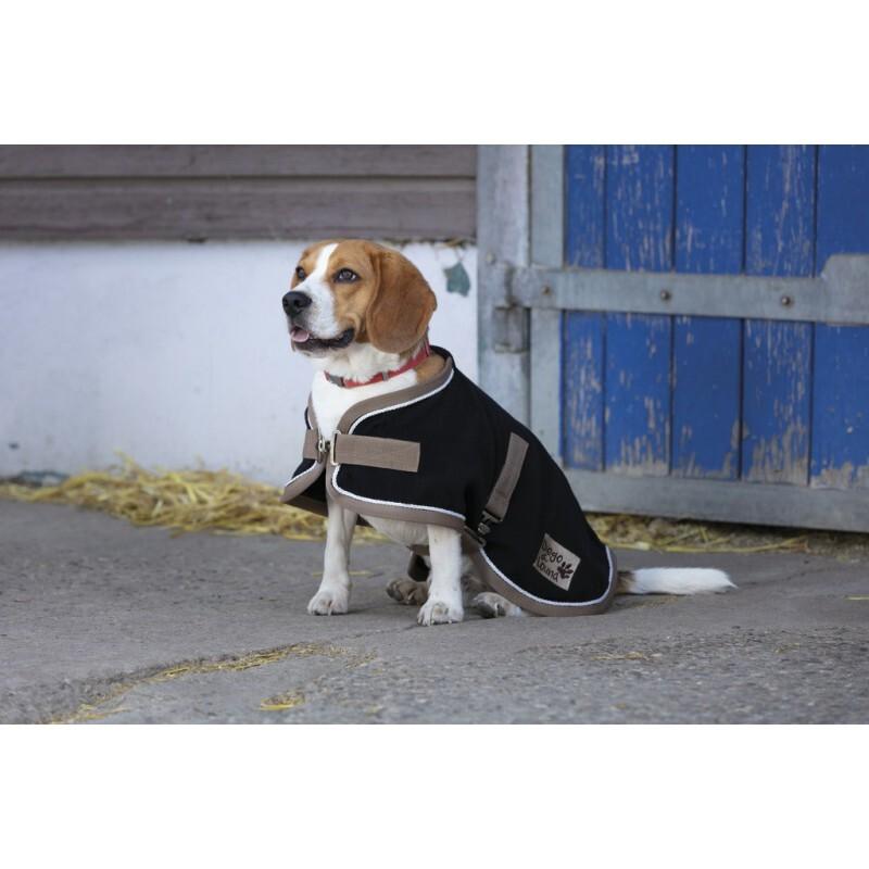 product/d/i/diego-louna_409004226.jpg