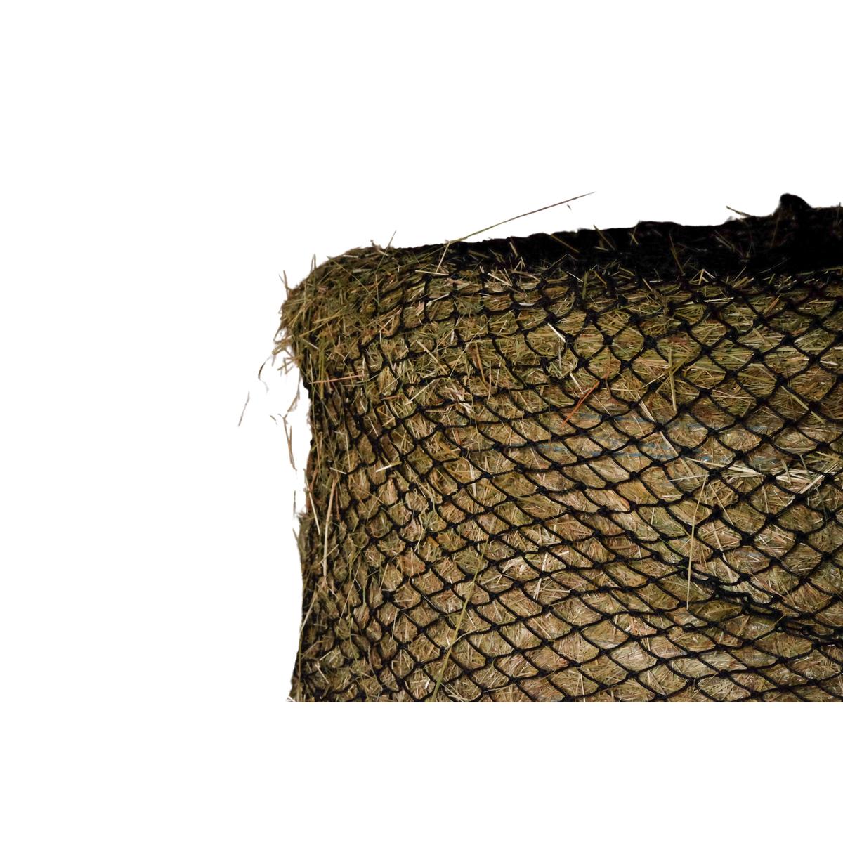 product/e/k/ekkia_306_833_002_ambi10_0.jpg