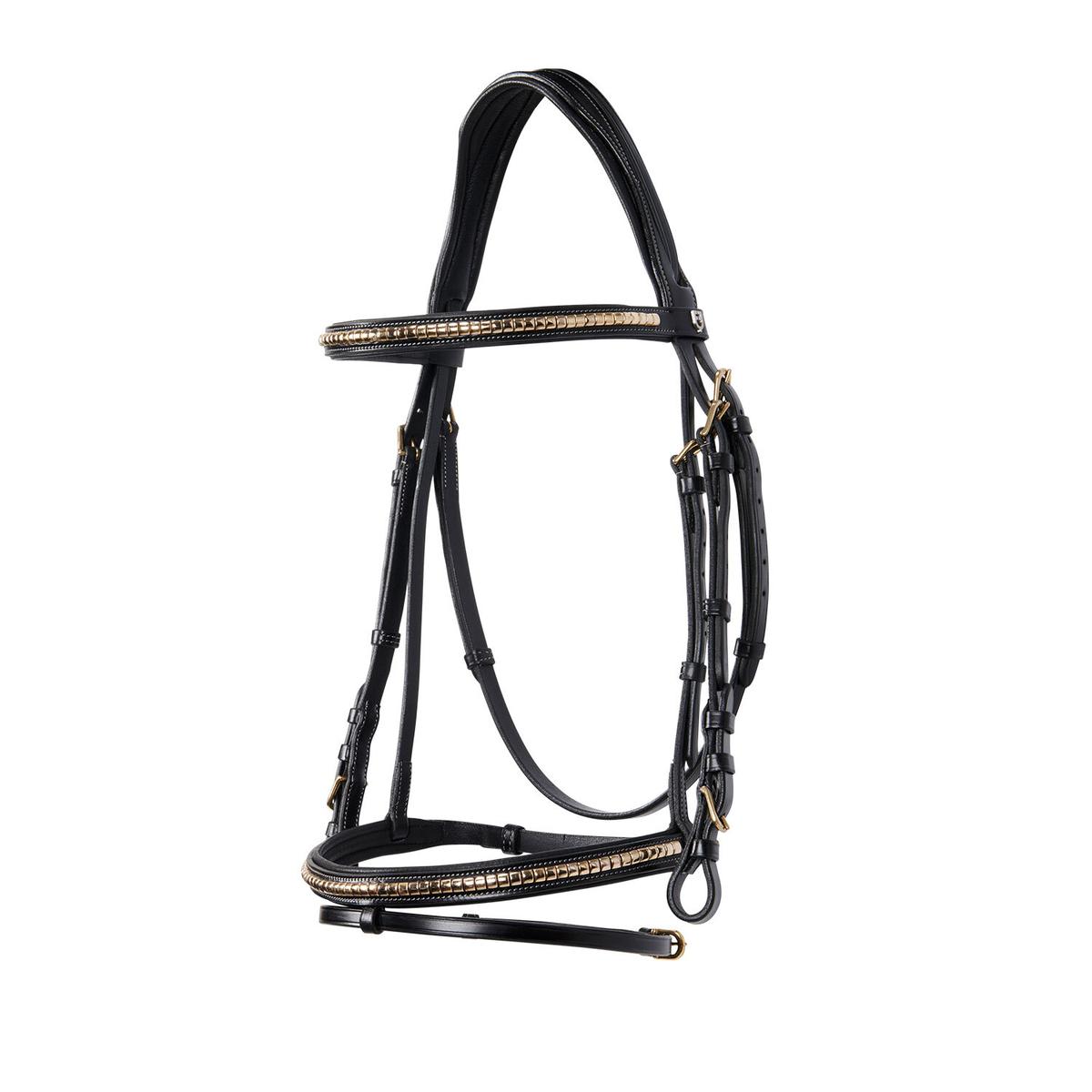 product/e/q/equestro_et01010-black_black_1.jpg