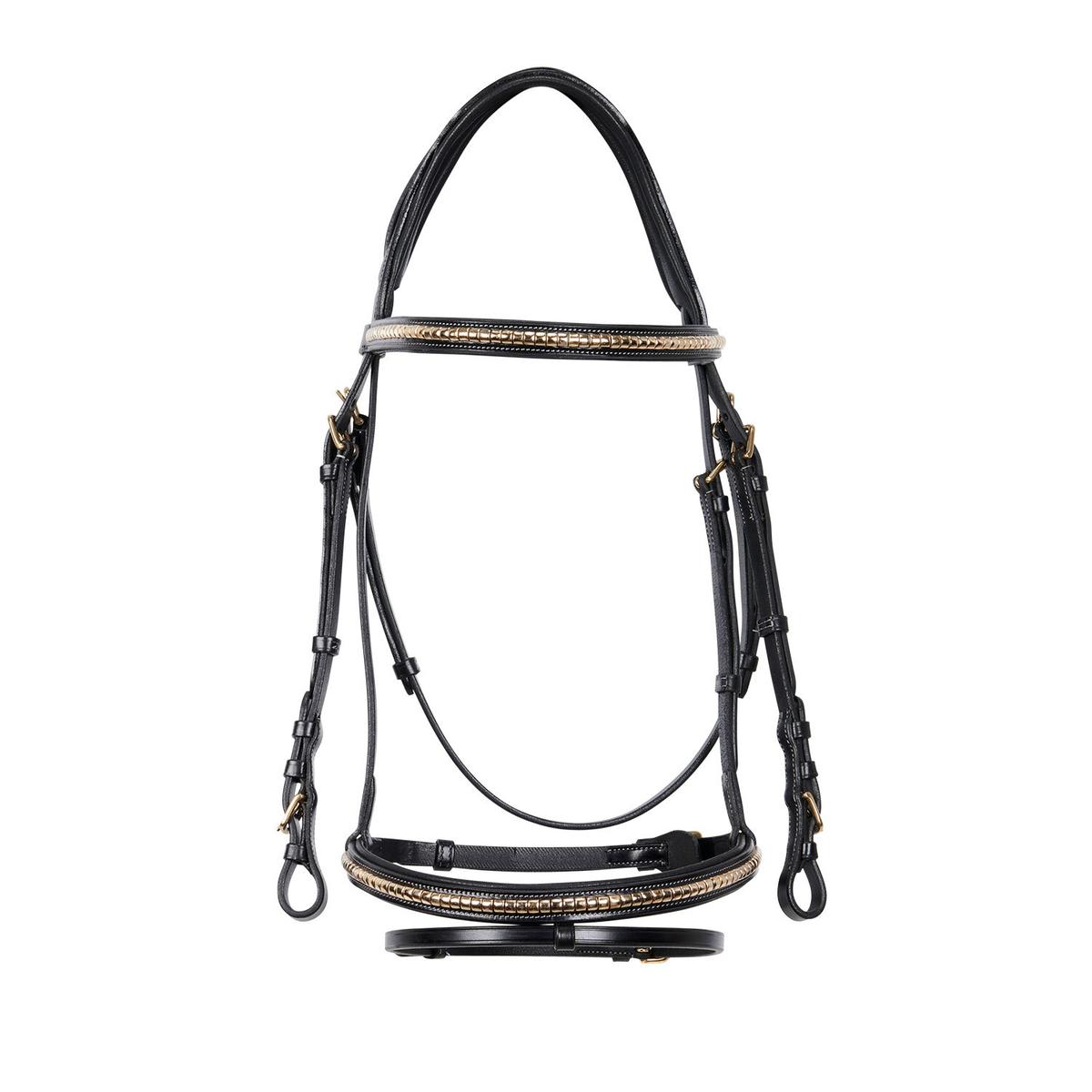 product/e/q/equestro_et01010-black_black_2.jpg