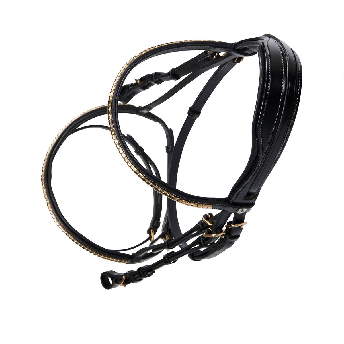 product/e/q/equestro_et01010-black_black_3.jpg