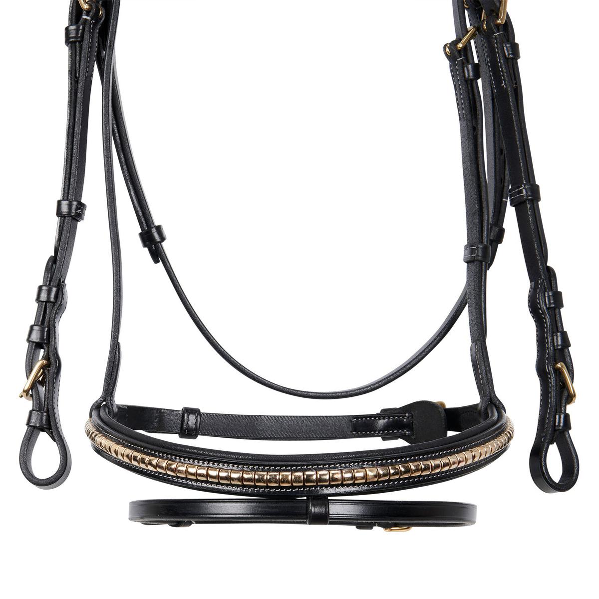 product/e/q/equestro_et01010-black_black_4.jpg