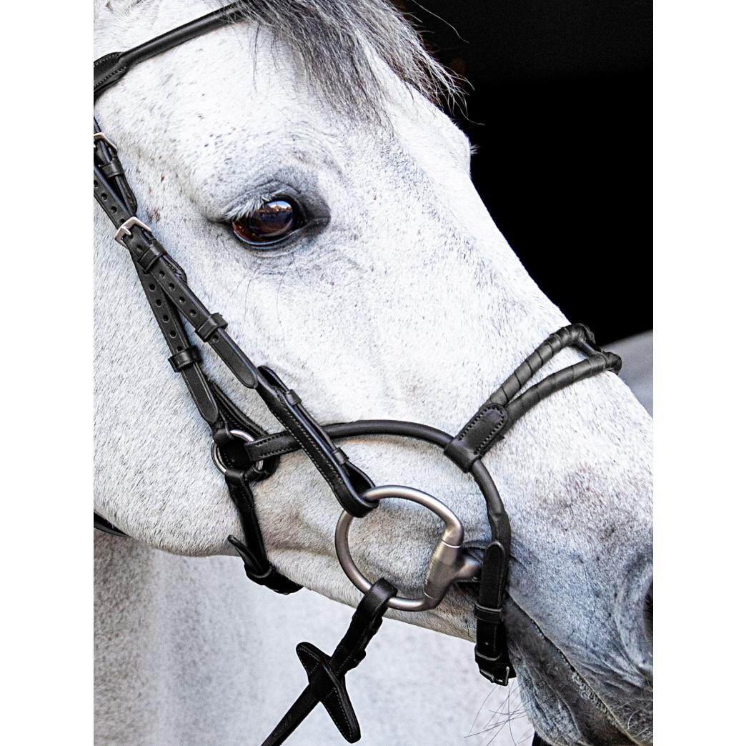 product/e/q/equiline_sc013pnb0444-006_3.jpg