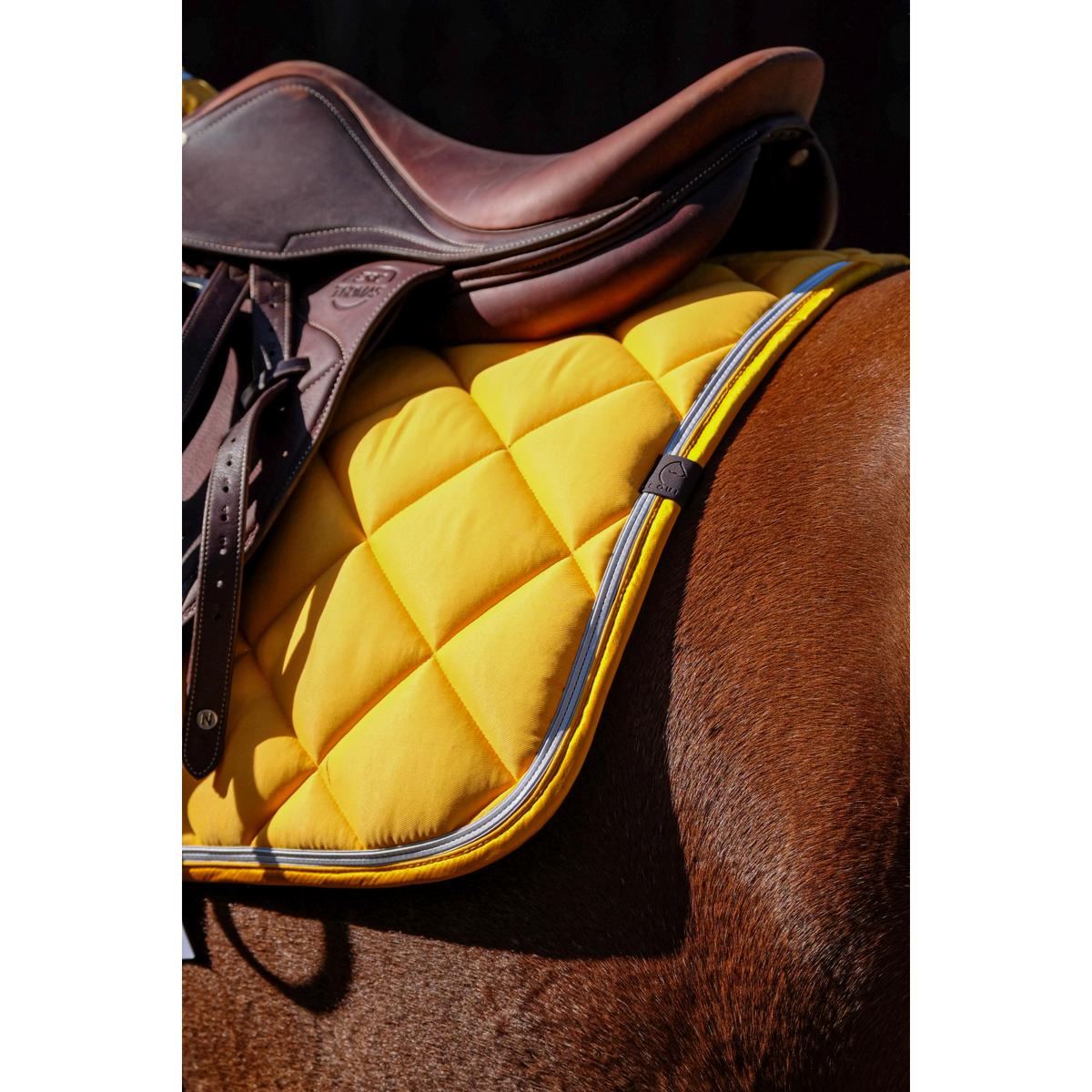 product/e/q/equitheme_204_773_010_ambi1.jpg