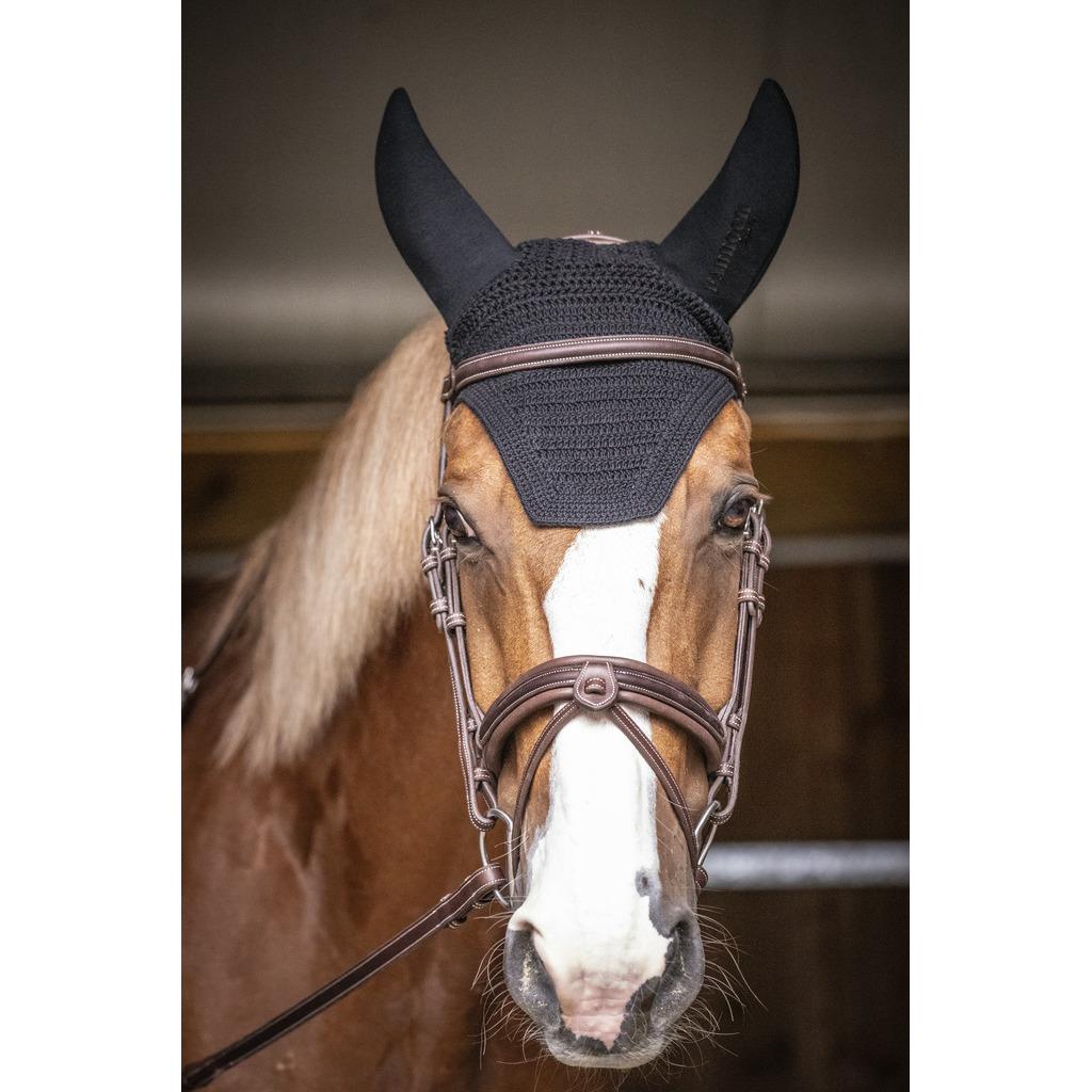 product/e/q/equitheme_306_907_002.jpg