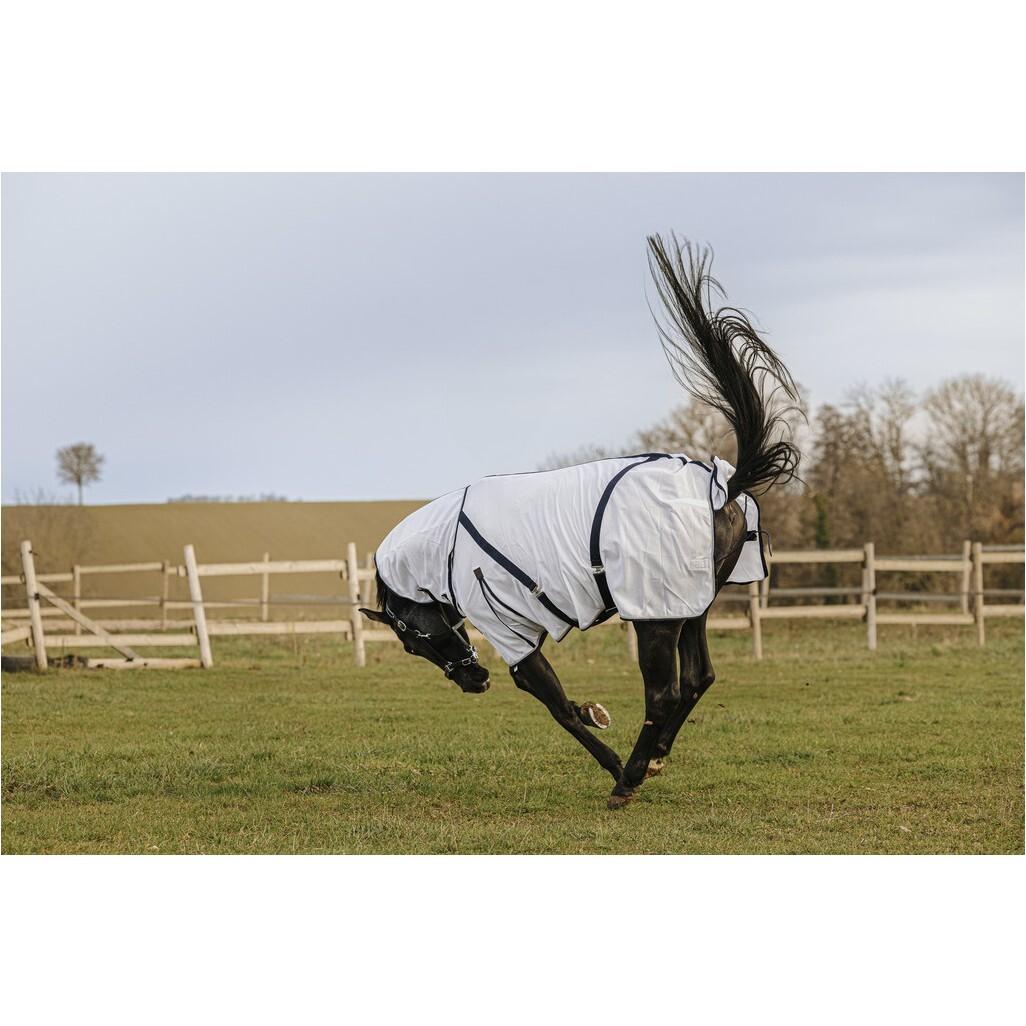 product/e/q/equitheme_400350060_blanc_3.jpg