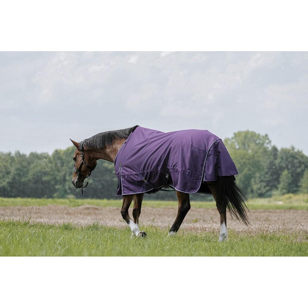 product/e/q/equitheme_400562159_prune_2.jpg