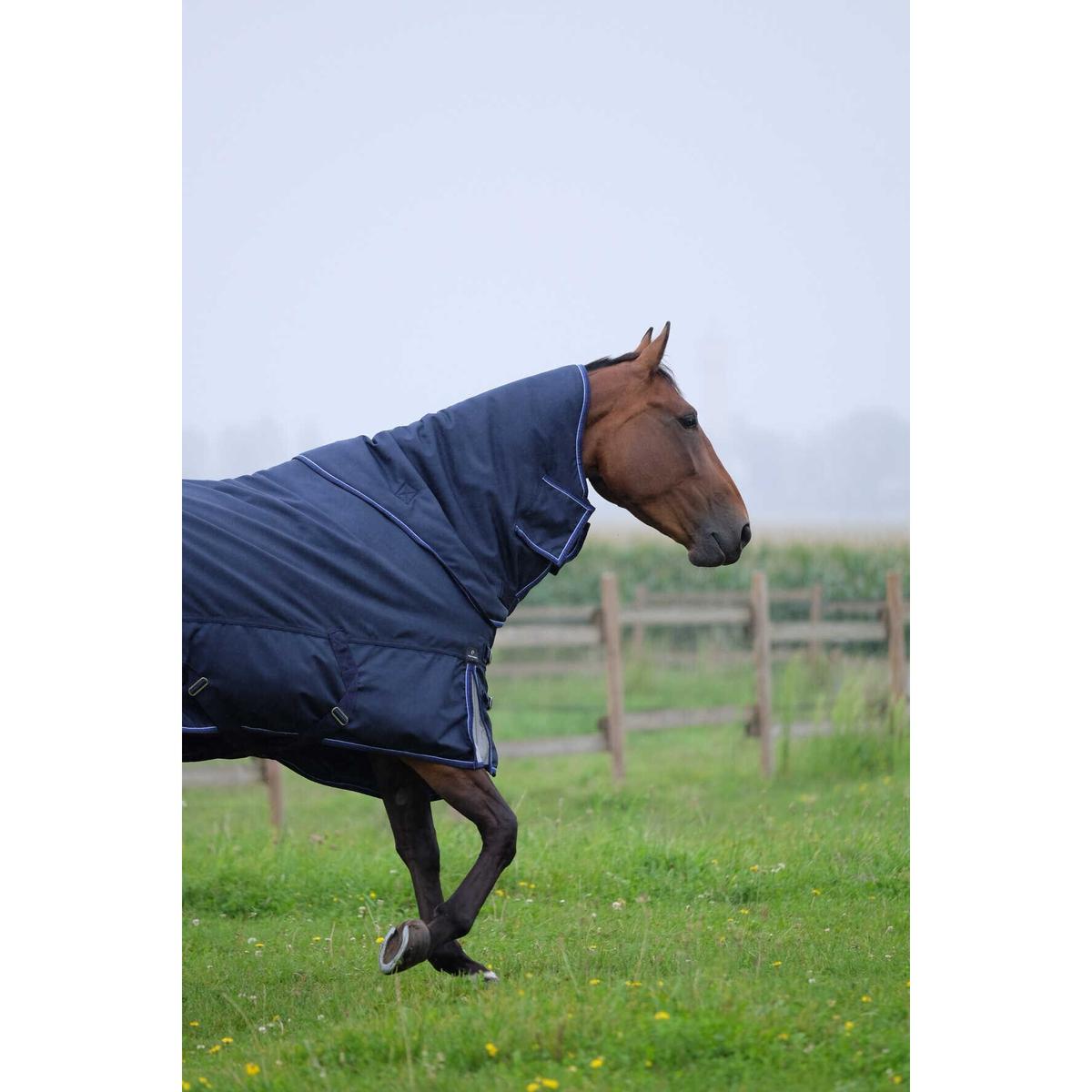 product/e/q/equitheme_400767059_marine_2.jpg