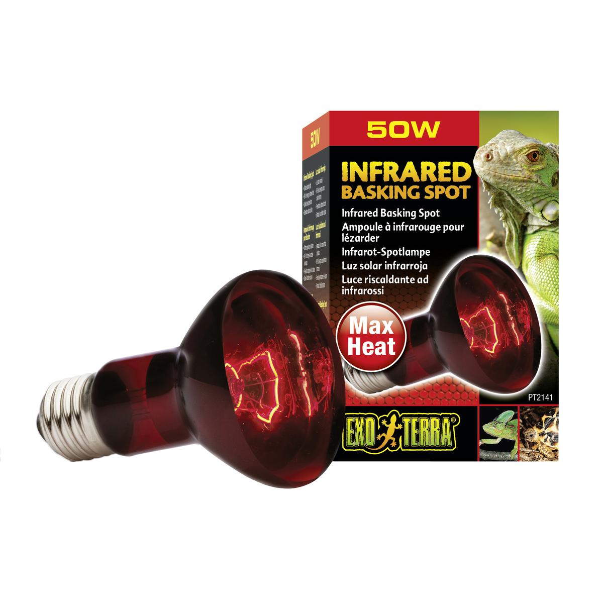 product/e/x/exo-terra_33-pt2141.jpg