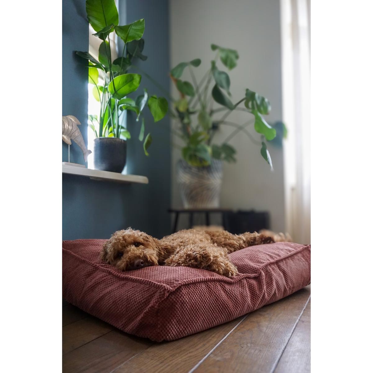 product/f/l/flamingo_522821_saumon_4.jpg