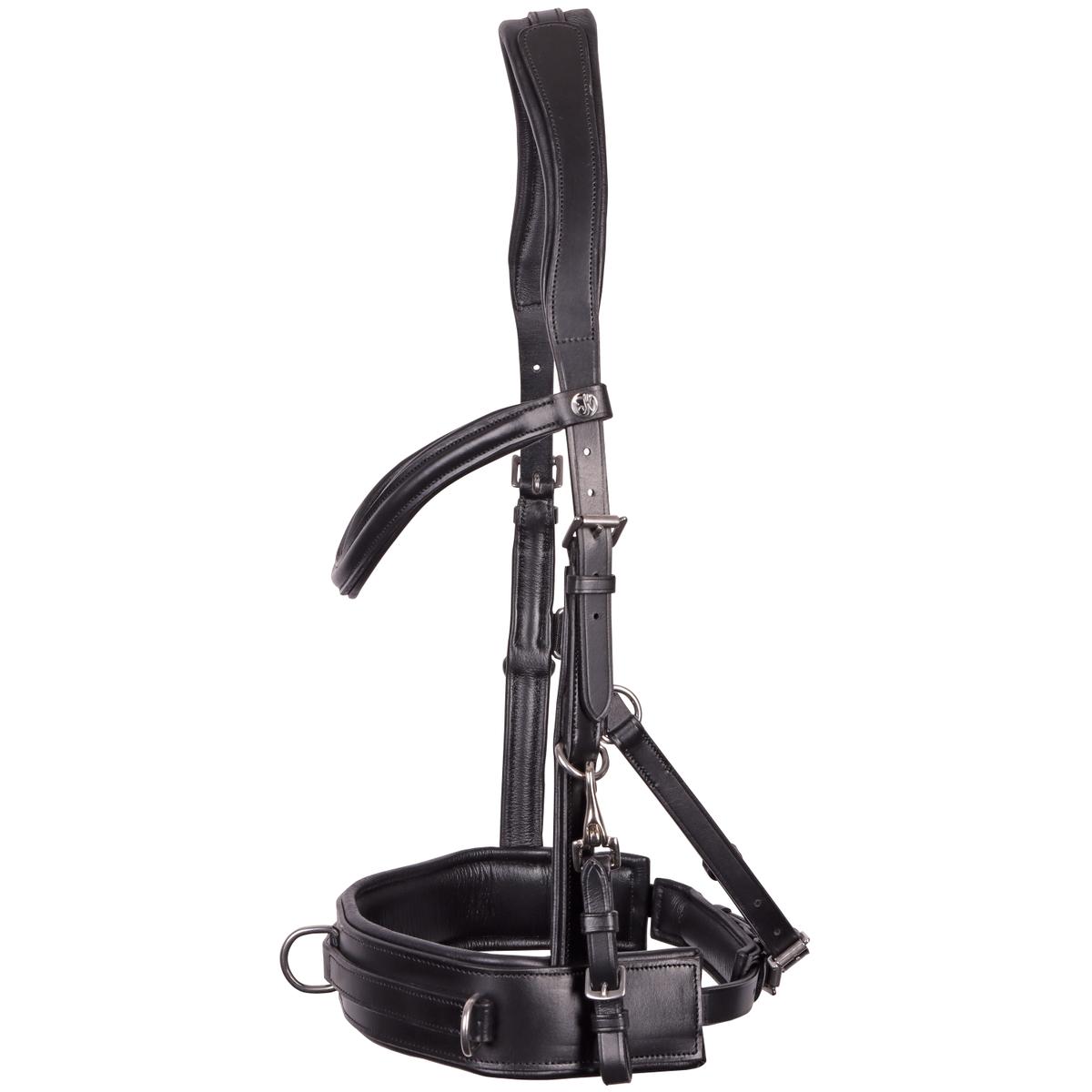 product/h/a/harry-s-horse_28008126-05_0.jpg