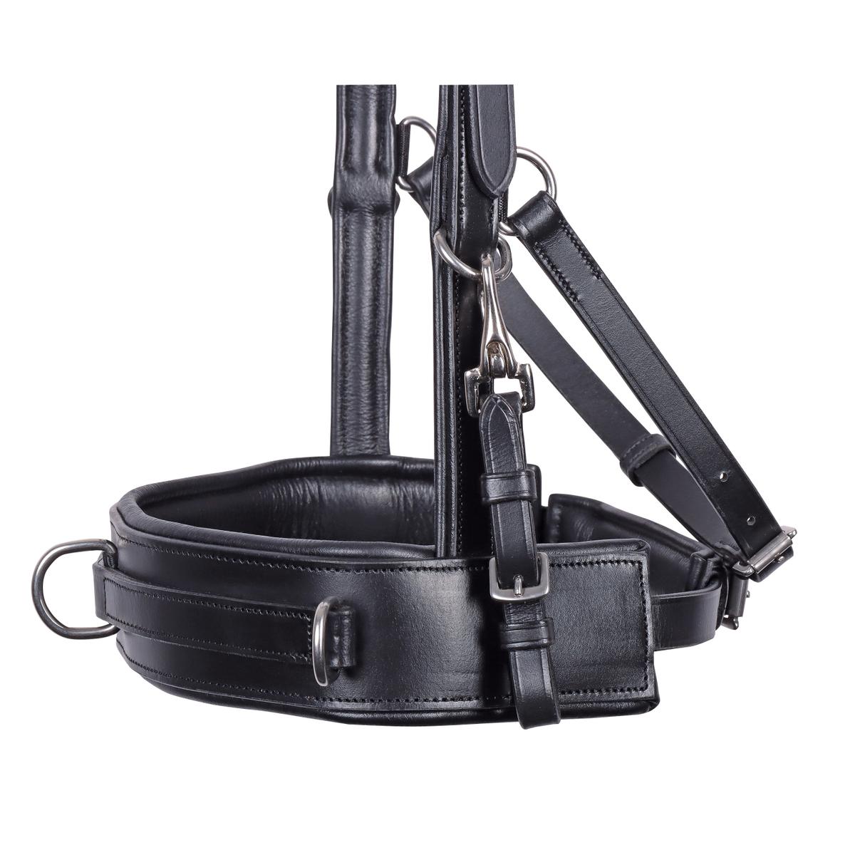 product/h/a/harry-s-horse_28008126-05_2.jpg