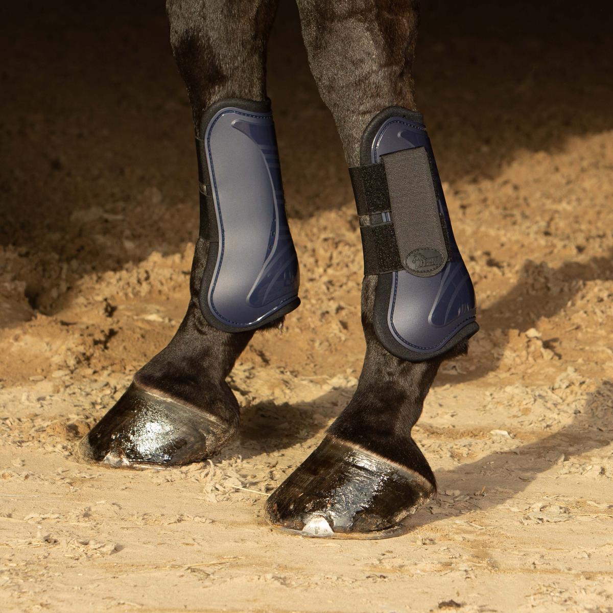 product/h/a/harry-s-horse_33200002-07_1.jpg