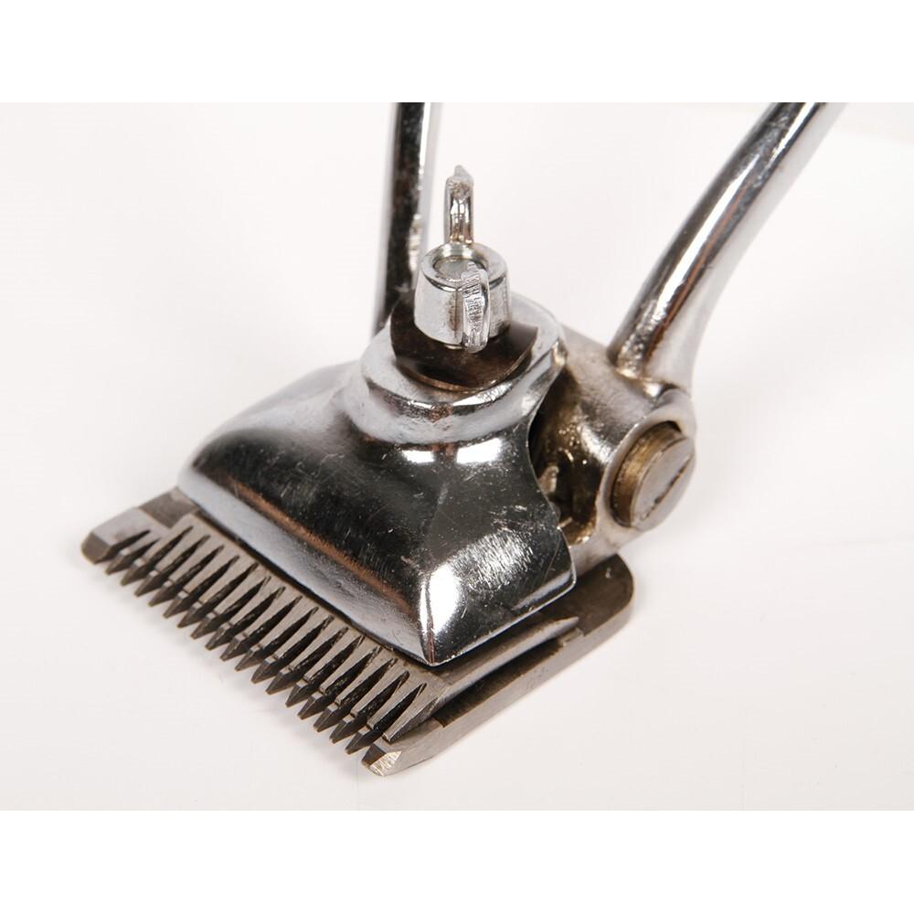 product/h/a/harry-s-horse_36000640_3.jpg