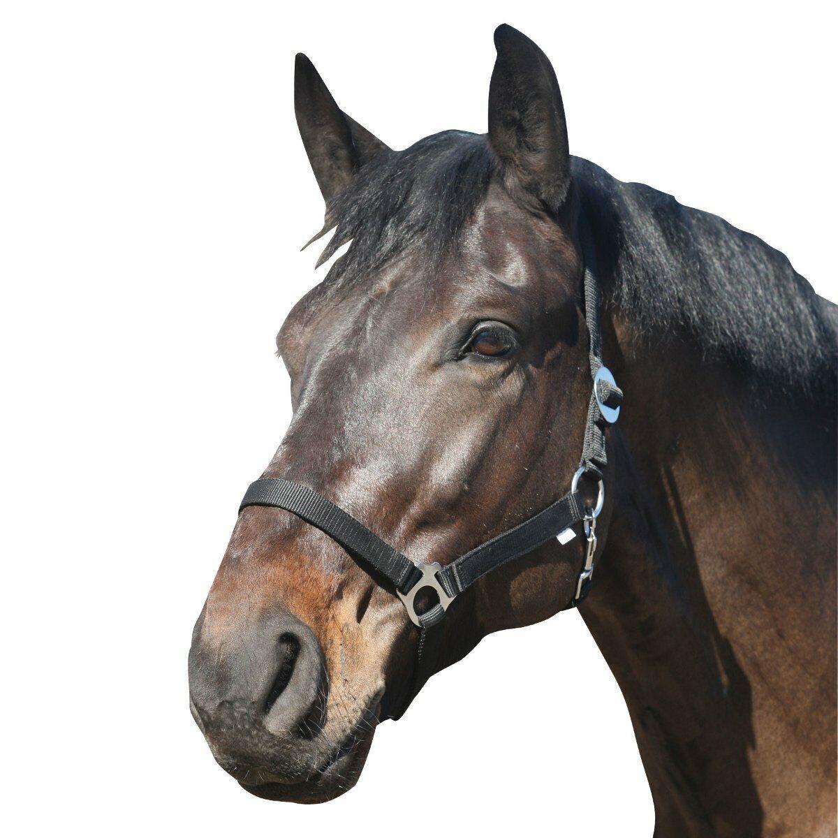 product/h/o/horseguard_41211001_black_1.jpg