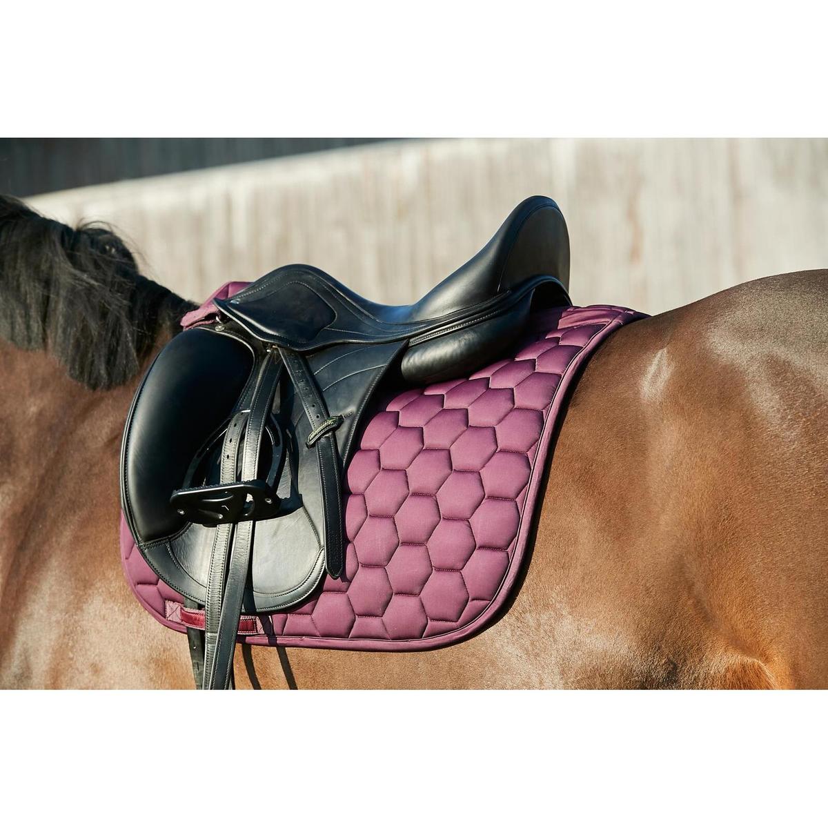 product/h/o/horseguard_504040645_wine_2.jpg