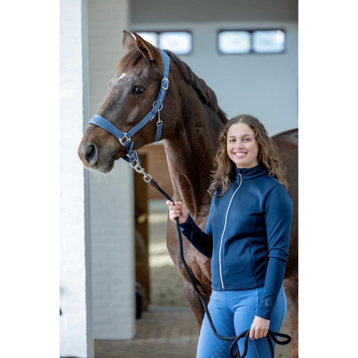 product/h/o/horseguard_50439300121_dutch-blue_2.jpg