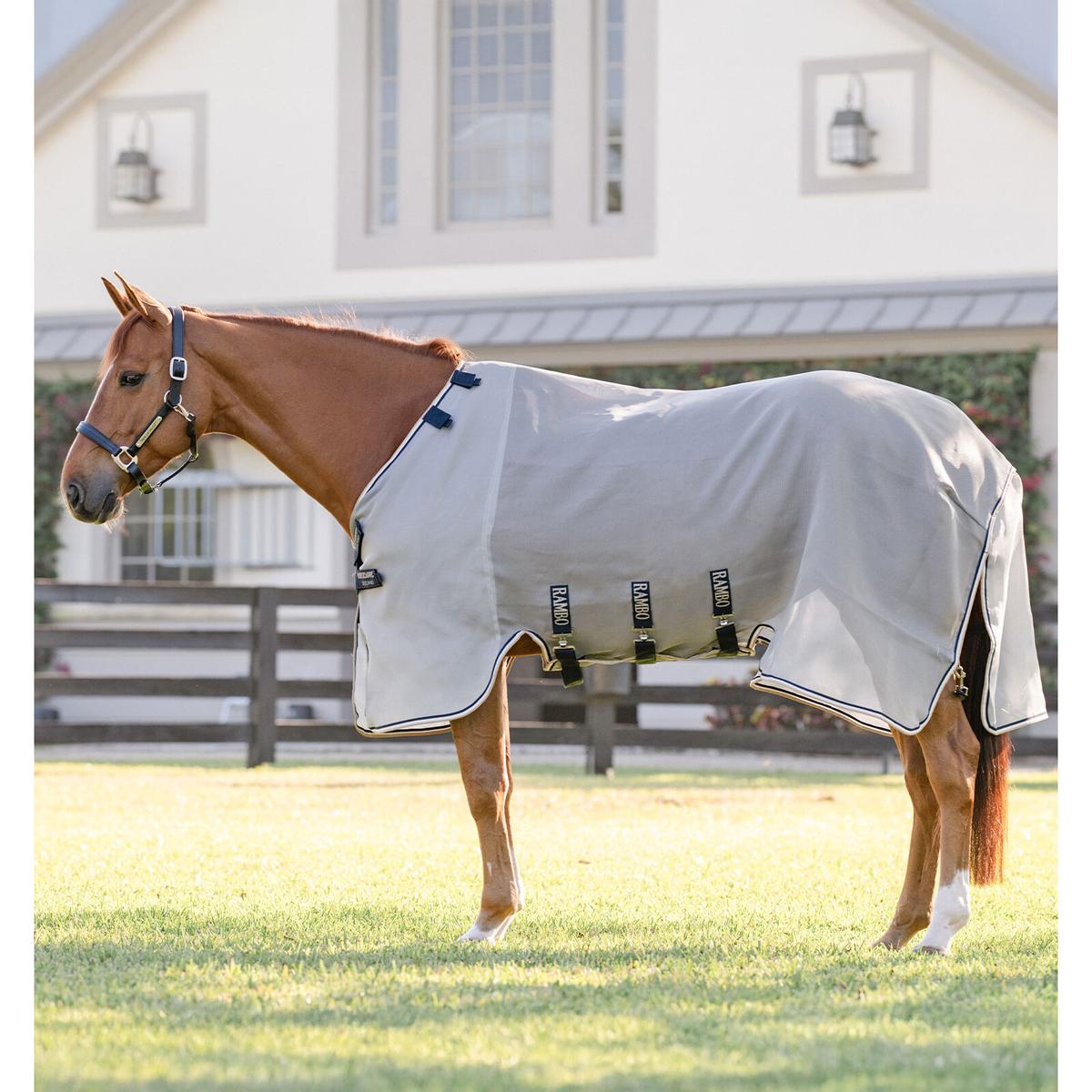 product/h/o/horseware_afanmt-ibwt-66_silver-navy-white-beige_1.jpg