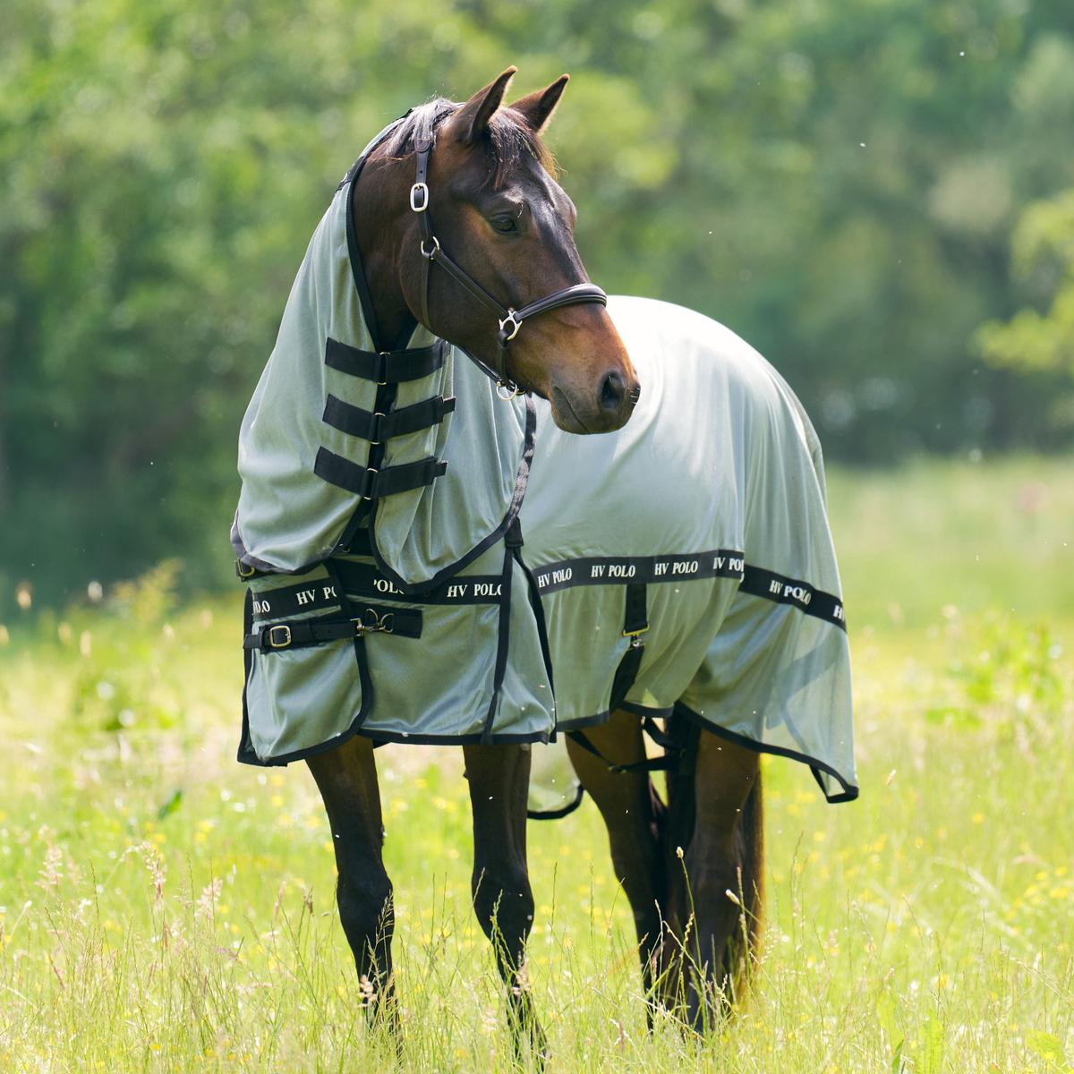 product/h/v/hv-polo_2405093700-6129_greenery_1.jpg