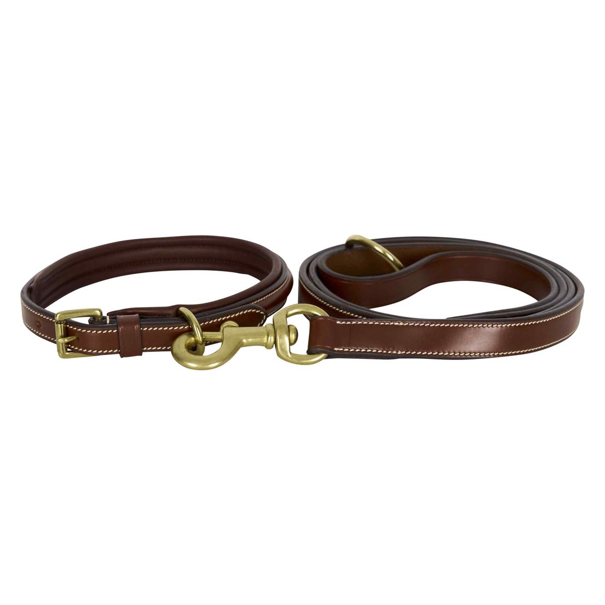 product/h/v/hv-polo_3404093508-8776_chocolate-brown_2.jpg