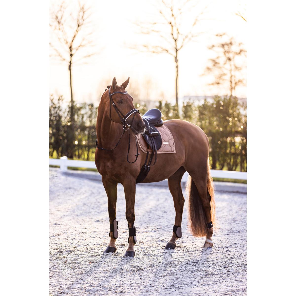 product/i/m/imperial-riding_be70322000-8043_cappuccino_2.jpg