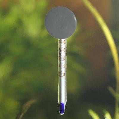 product/j/b/jbl-aqua_jb1474_transparent_2.jpg