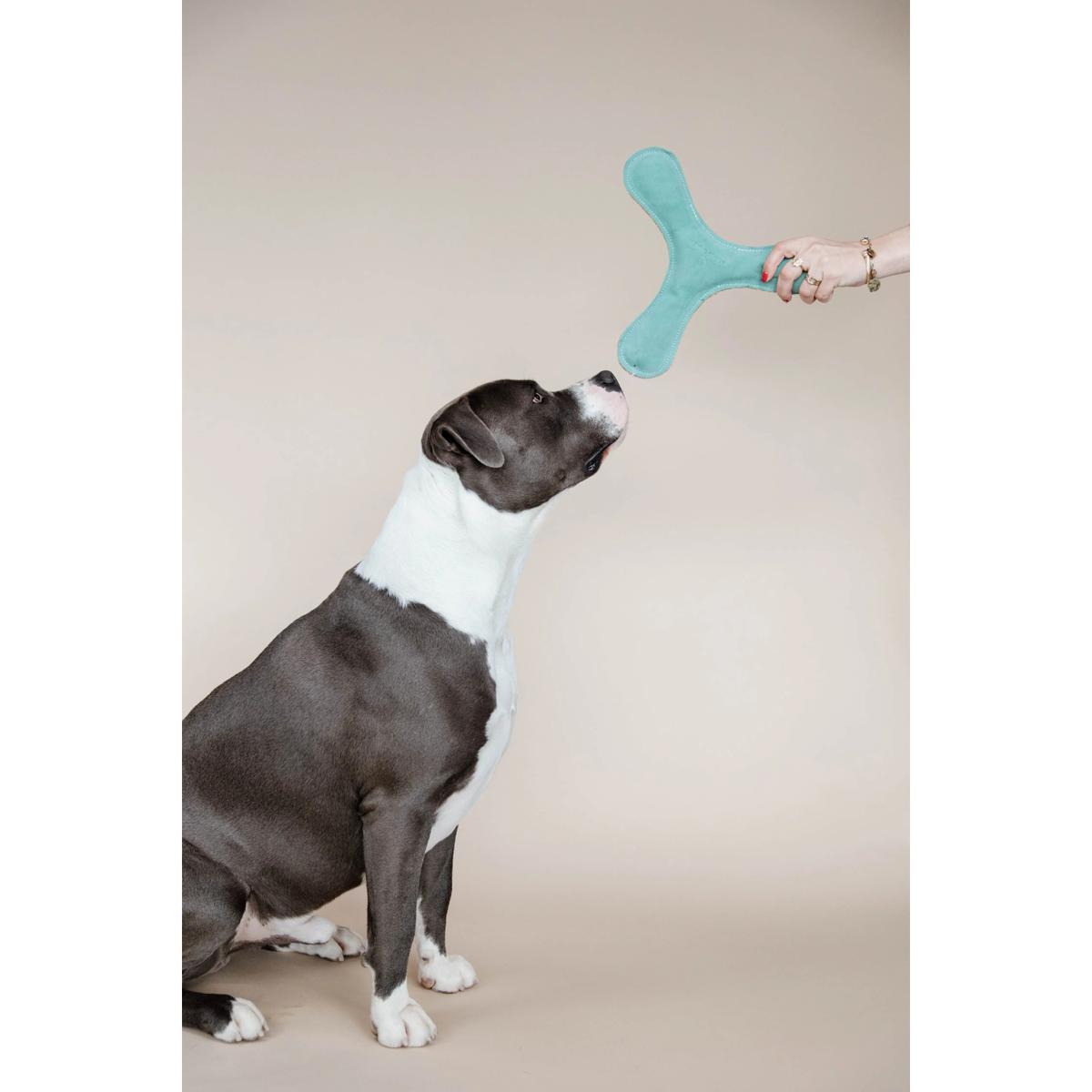 product/k/e/kentucky-dogwear_52503-71_0.jpg