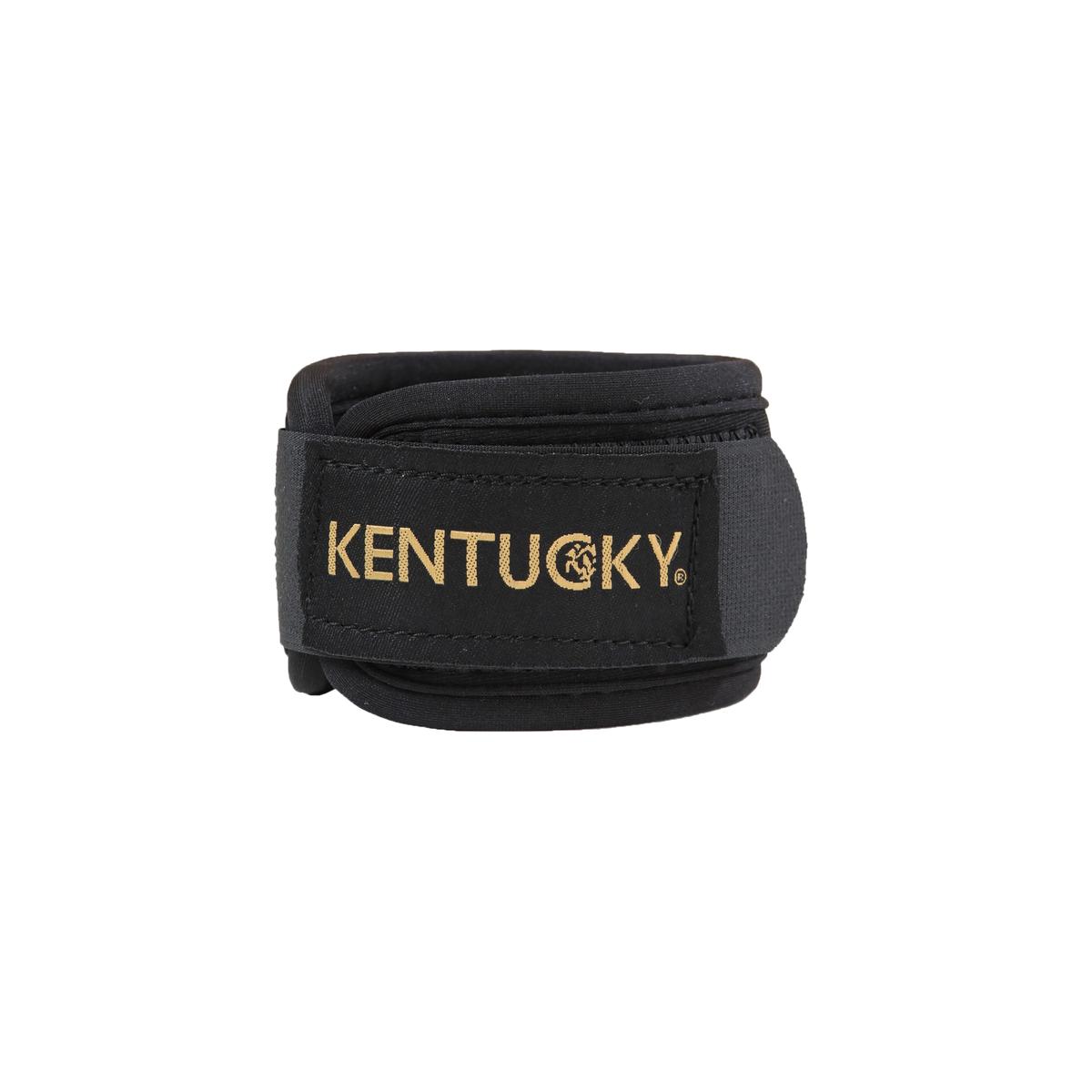 product/k/e/kentucky_42201-01_1.jpg