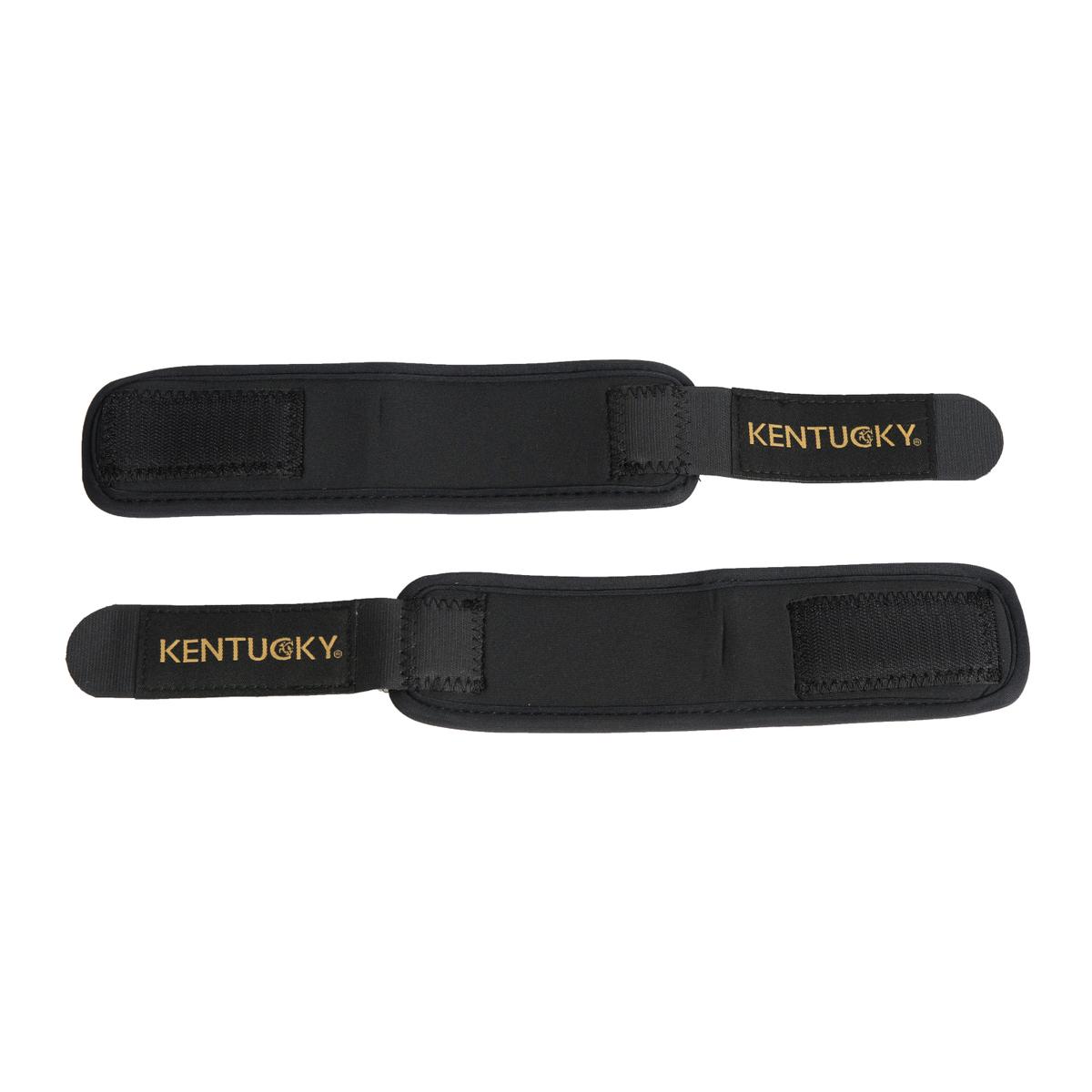 product/k/e/kentucky_42201-01_2.jpg