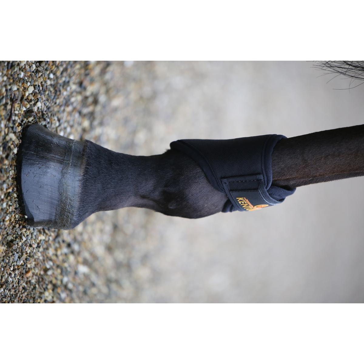 product/k/e/kentucky_42307-01-f_2.jpg