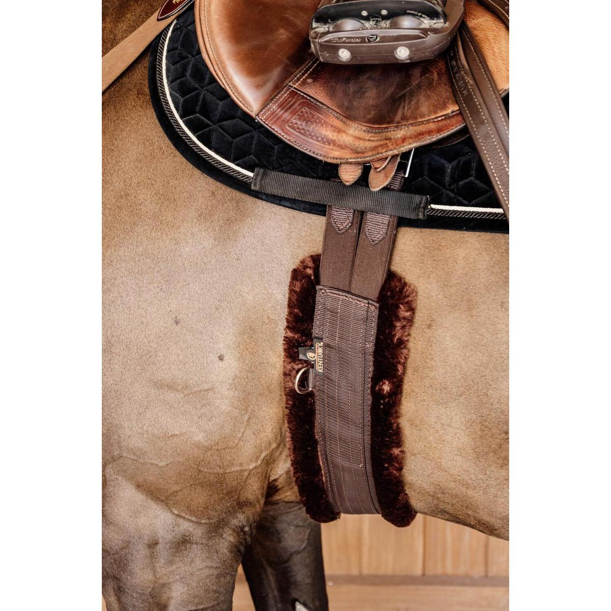 product/k/e/kentucky_42401-55-145_3.jpg