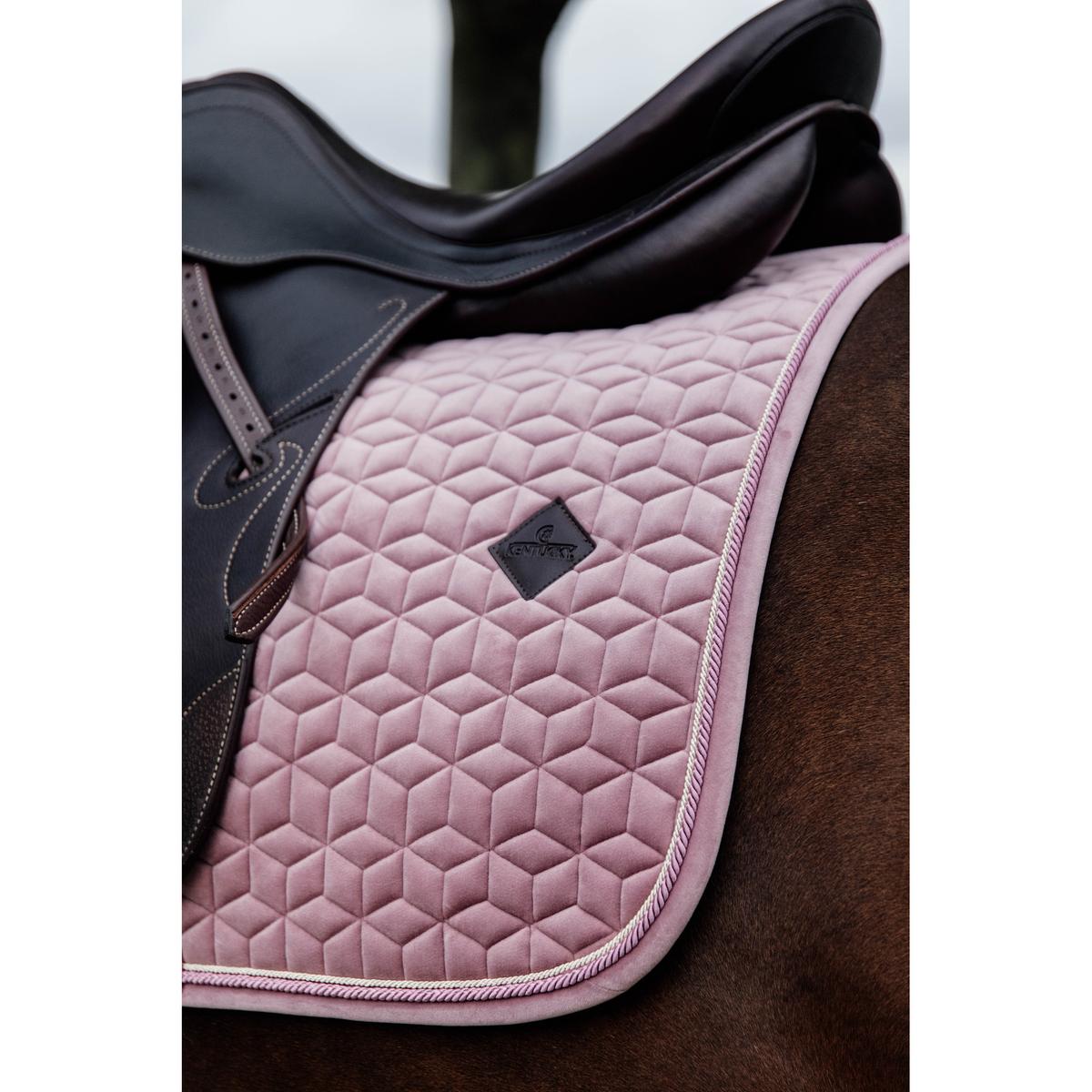 product/k/e/kentucky_42579-10-sj-cob_4.jpg