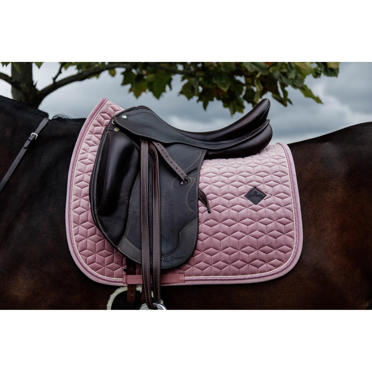 product/k/e/kentucky_42579-10-sj-cob_5.jpg