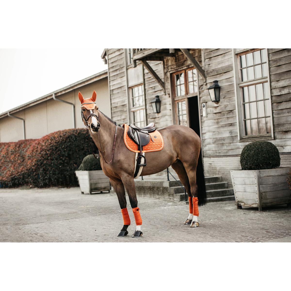 product/k/e/kentucky_42579-45-p_0.jpg