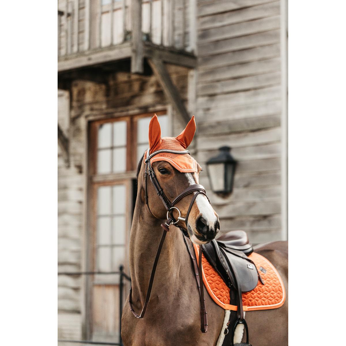 product/k/e/kentucky_42579-45-p_8.jpg
